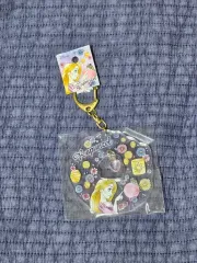 ディズニー プリンセス ラプンツェル キーホルダー 装飾 インテリア パスカル 未開封