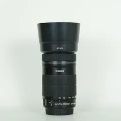 2026年最新】ef-s55-250mm f4-5.6 is stmの人気アイテム - メルカリ