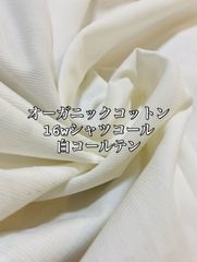 Item thumbnail for item a2b6873d-6a4b-4f80-a8ba-0be8f92c118c