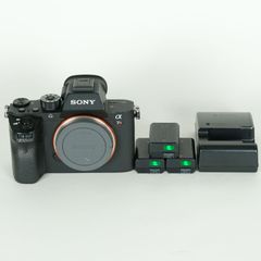 良品 | シャッター数22,940回] SONY α7R III（ILCE-7RM3） | SONY E