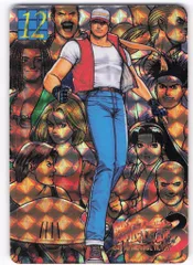 YUU CORP（コスモス） カードじゃん テリー・ボガード(コンビネーションアーツとは?) 12