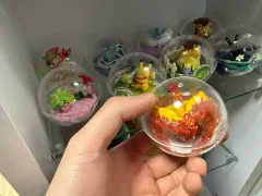 ポケットモンスター テラリウム フィギュア 9種