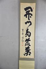 【茶掛　一行書「青松多寿色」臨済宗大徳寺派法林院　福本　積応老師墨蹟（共箱）】 茶掛 一行書「青松多寿色」臨済宗大徳寺派法林院 福本 積応老師墨蹟