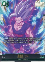 孫悟飯：SH SCR [神龍への願い] FB07-121 ドラゴンボールFW