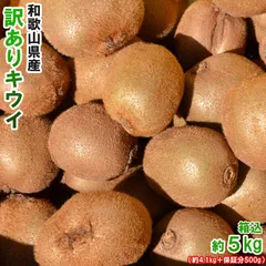 キウイ 5kg（箱込約5kg）和歌山県産 訳あり・ご家庭用