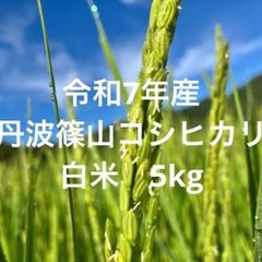□令和7年 コシヒカリ 白米 15キロ 標準米 無農薬 晴れの国岡山 天