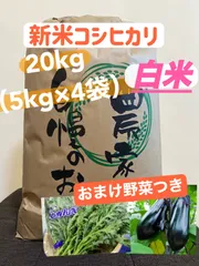 令和7年産 群馬県産 コシヒカリ 白米20kgのサムネイル