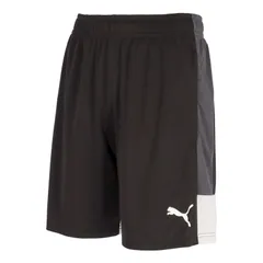 PUMA(プーマ) IndiviLIGA TR ショーツ サッカー ウェア ゲームパンツ 660976、XL