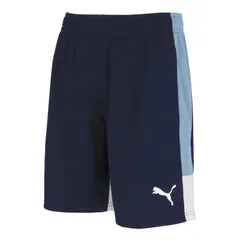 PUMA(プーマ) IndiviLIGA TR ショーツ サッカー ウェア ゲームパンツ 660976、XXL