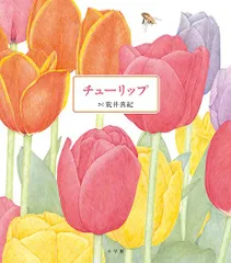 チューリップ／荒井 真紀