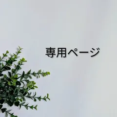 診察ポーチ【レギュラー】“ファスナー仕切り” があって便利　診察券、お薬手帳、医療証等をスッキリまとめる　おにぎり