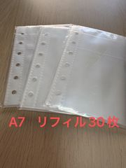 Item thumbnail for item a4b23579-2142-4869-8bd2-f3d3376b3d79