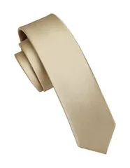 在庫処分 無地 細 ネクタイ ナロータイ メンズ 幅5.5cm フォーマル ビジネス G-01 結婚式 二次会 就職 [HISDERN] 入学式 ブランド 14色