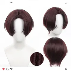 蘇枋隼飛 WIND BREAKER コスプレ ウィッグ　ネット付き　cosplay wig ハロウィーン　イベントグッズ