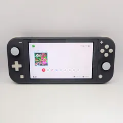 【動作品】Nintendo Switch Lite グレー