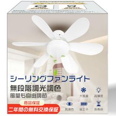 Item thumbnail for item 593785be-e451-4069-8d41-c57eca3b435d