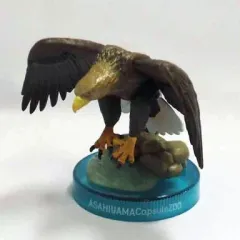 【中古】トレーディングフィギュア 5.オジロワシ 「旭山動物園カプセル・ズー Vol.5 旭山動物園ヴィネット」