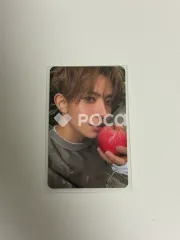 THE SIN : VANISH FUGITIVES Ver.