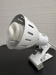 Item thumbnail for item 711b2674-b885-433b-b8ca-7f66770fafcd