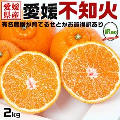 愛媛 不知火 訳あり 2kg しらぬい みかん｜愛媛県 西宇和地区・八幡浜市産の不知火・みかん 蜜柑｜愛媛県産 アウトレット品 果物 フルーツ 希少 果物 有名農園 家庭向けギフト