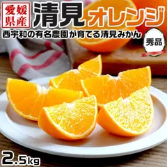 2026年最新】真 穴 の みかんの人気アイテム - メルカリ