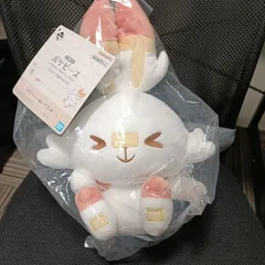 ポケモン 一番くじ ヒバニー ぬいぐるみ　ポケピース　C賞