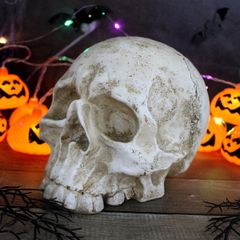 スカル ドクロ ガイコツ ネズミ ロウソク ホラー アンティーク - メルカリ