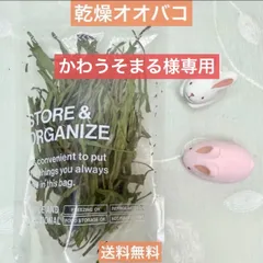 かわうそまる様専用⭐️乾燥オオバコ3袋セット⭐️無農薬ヘラオオバコ⭐️小動物のおやつ⭐️うさぎ・チンチラ・テグー・モルモット・ハムスター⭐️送料無料