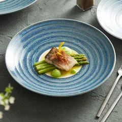 新品未使用 星空柄皿?菜皿 家庭用麺つゆ碗 日本風レストラン用深型碗 創意パスタ皿?サラダ皿