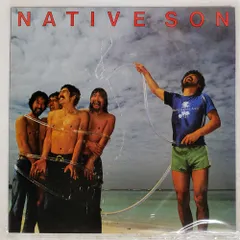 国内盤 ネイティブサン/SAME/JVC VIJ6301 LP