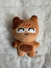 NCT 127 ジェヒョン(JAEHYUN・チョンジェヒョン) ぬいぐるみ タンタン ぬいぐるみ 断捨離 出品