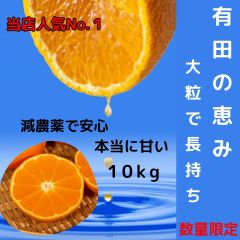 農家直送！紀州南高梅 樽 5000g つぶれ梅 無添加 和歌山 紀州 白梅