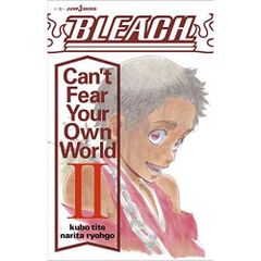 まとめ売り/美品】BLEACH 小説 初回購入特典 ポストカード 平子真子 