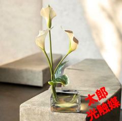 光触媒 人工観葉植物 ウォールグリーン フェイクグリーン フレッシュ