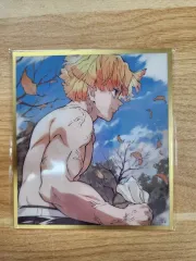 鬼滅の刃 ウェブショップCOOGI 無限城ハン イラスト アクリルビジュアル色紙 アガツマ 我妻 善逸