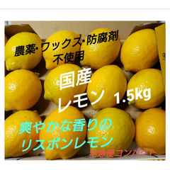 🍋国産·リスボンレモン☆農薬不使用ノーワックス【宅急便コンパクト】·