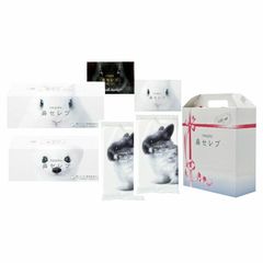 Item thumbnail for item 65f3a606-6ed7-4c7e-b59a-385316649ef5