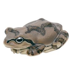 アマガエル・改 アマガエル 褐色地に焦茶 ストラップ NATURE TECHNI COLOUR ネイチャーテクニカラー いきもん ガチャ 新品未使用 送料無料