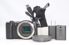 2026年最新】sony α5100 レンズの人気アイテム - メルカリ