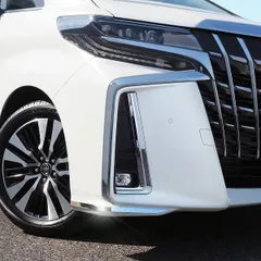 【送料無料】19年式 トヨタ アルファード前護角飾り 2点セット エルファード前バンパー保護 ABS素材 車両保護