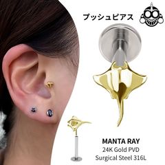 ヘマタイト 天然石ピアス 拡張ピアス 12mm 14mm 16mm ダブルフレア