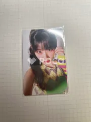 アルゴリズム Limited Edition