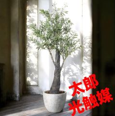 光触媒 人工観葉植物 ウォールグリーン フェイクグリーン フレッシュ