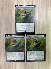 マジック・ザ・ギャザリング 口達者な一年生、アビゲール R 0368 ECL・JP 3枚セット