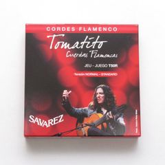 Item thumbnail for item 03628c34-6499-41a0-98e1-d74ff1b95349