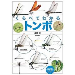 Dragonfly Comparison Guide (Compare and Understand)