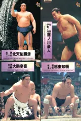2026年最新】大相撲カード 97の人気アイテム - メルカリ