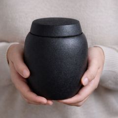 Item thumbnail for item ecb68ebd-1f69-4a6e-a2c1-36f2605da567