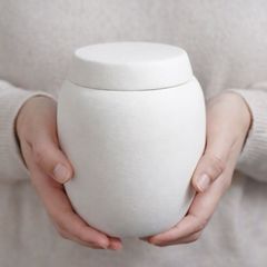 Item thumbnail for item 7ad68476-aed2-4535-bcc1-a672c14d0d8f