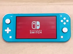 ニンテンドー Nintendo Switch Lite ジャンク　本体のみ